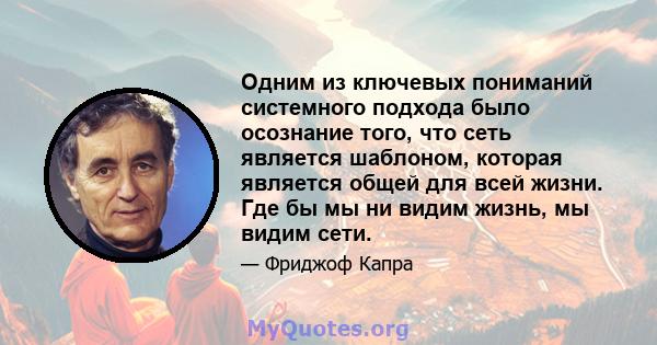 Одним из ключевых пониманий системного подхода было осознание того, что сеть является шаблоном, которая является общей для всей жизни. Где бы мы ни видим жизнь, мы видим сети.