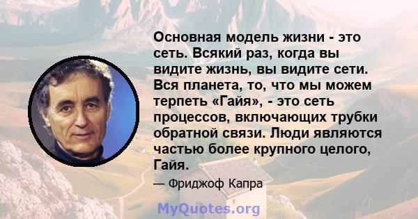 Основная модель жизни - это сеть. Всякий раз, когда вы видите жизнь, вы видите сети. Вся планета, то, что мы можем терпеть «Гайя», - это сеть процессов, включающих трубки обратной связи. Люди являются частью более