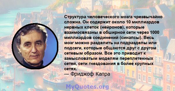 Структура человеческого мозга чрезвычайно сложна. Он содержит около 10 миллиардов нервных клеток (нейронов), которые взаимосвязаны в обширной сети через 1000 миллиардов соединений (синапсы). Весь мозг можно разделить на 