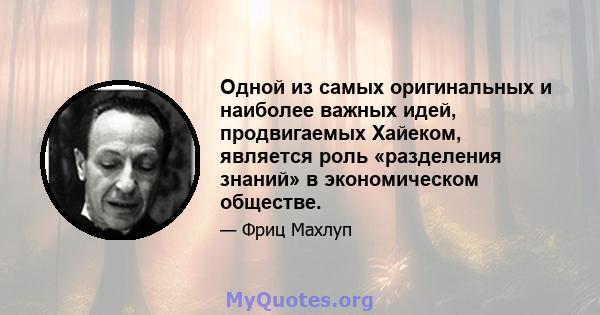 Одной из самых оригинальных и наиболее важных идей, продвигаемых Хайеком, является роль «разделения знаний» в экономическом обществе.