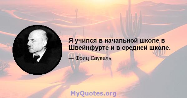 Я учился в начальной школе в Швейнфурте и в средней школе.