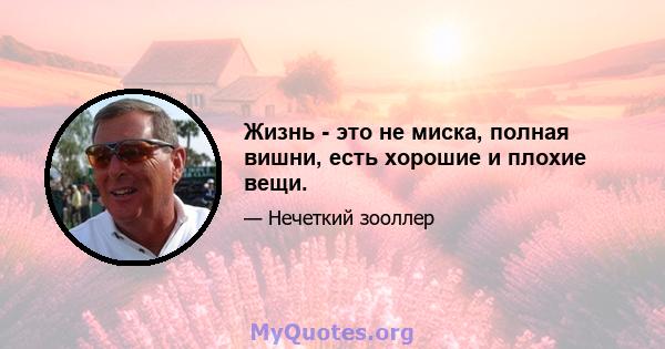 Жизнь - это не миска, полная вишни, есть хорошие и плохие вещи.