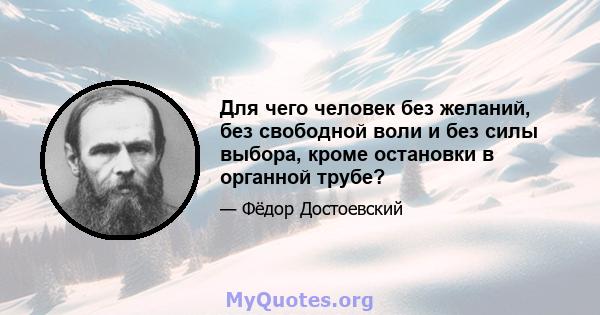 Для чего человек без желаний, без свободной воли и без силы выбора, кроме остановки в органной трубе?