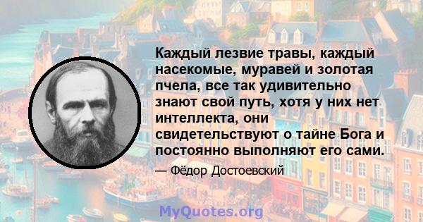 Каждый лезвие травы, каждый насекомые, муравей и золотая пчела, все так удивительно знают свой путь, хотя у них нет интеллекта, они свидетельствуют о тайне Бога и постоянно выполняют его сами.