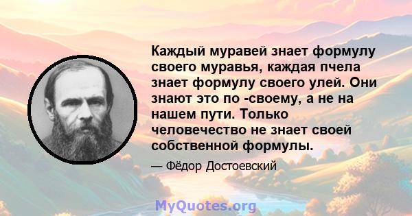 Каждый муравей знает формулу своего муравья, каждая пчела знает формулу своего улей. Они знают это по -своему, а не на нашем пути. Только человечество не знает своей собственной формулы.