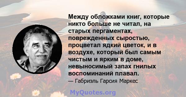 Между обложками книг, которые никто больше не читал, на старых пергаментах, поврежденных сыростью, процветал ядкий цветок, и в воздухе, который был самым чистым и ярким в доме, невыносимый запах гнилых воспоминаний