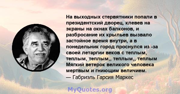 На выходных стервятники попали в президентский дворец, клевев на экраны на окнах балконов, и разбросание их крыльев вызвало застойное время внутри, а в понедельник город проснулся из -за своей летаргии веков с теплым,