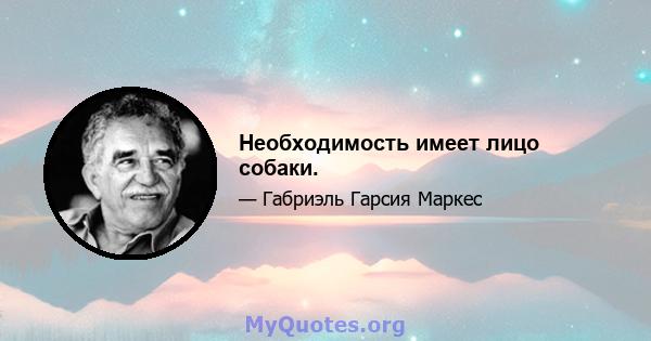 Необходимость имеет лицо собаки.