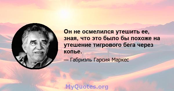 Он не осмелился утешить ее, зная, что это было бы похоже на утешение тигрового бега через копье.