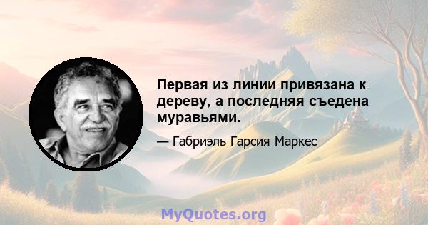 Первая из линии привязана к дереву, а последняя съедена муравьями.