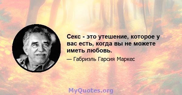 Секс - это утешение, которое у вас есть, когда вы не можете иметь любовь.