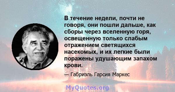 В течение недели, почти не говоря, они пошли дальше, как сборы через вселенную горя, освещенную только слабым отражением светящихся насекомых, и их легкие были поражены удушающим запахом крови.