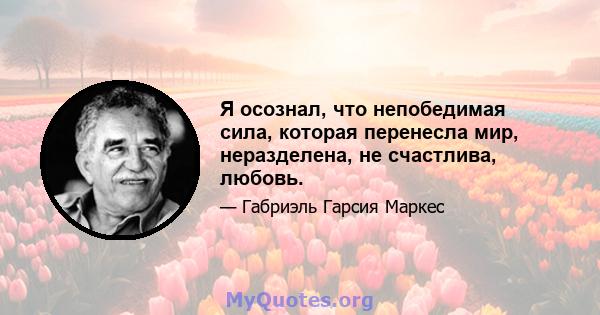 Я осознал, что непобедимая сила, которая перенесла мир, неразделена, не счастлива, любовь.