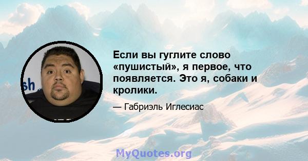 Если вы гуглите слово «пушистый», я первое, что появляется. Это я, собаки и кролики.