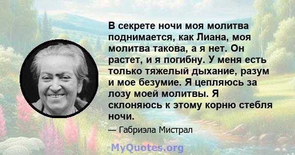 В секрете ночи моя молитва поднимается, как Лиана, моя молитва такова, а я нет. Он растет, и я погибну. У меня есть только тяжелый дыхание, разум и мое безумие. Я цепляюсь за лозу моей молитвы. Я склоняюсь к этому корню 