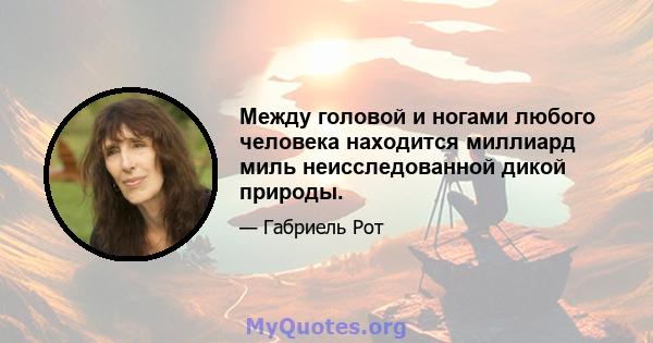 Между головой и ногами любого человека находится миллиард миль неисследованной дикой природы.