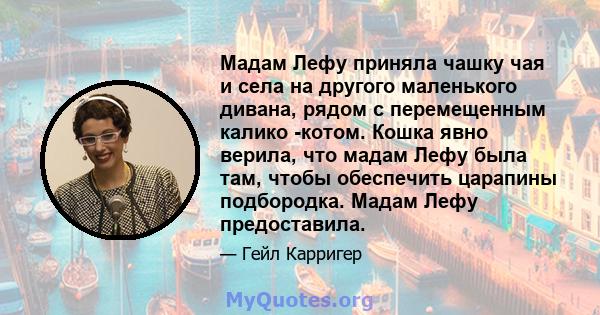 Мадам Лефу приняла чашку чая и села на другого маленького дивана, рядом с перемещенным калико -котом. Кошка явно верила, что мадам Лефу была там, чтобы обеспечить царапины подбородка. Мадам Лефу предоставила.