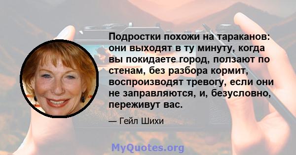 Подростки похожи на тараканов: они выходят в ту минуту, когда вы покидаете город, ползают по стенам, без разбора кормит, воспроизводят тревогу, если они не заправляются, и, безусловно, переживут вас.