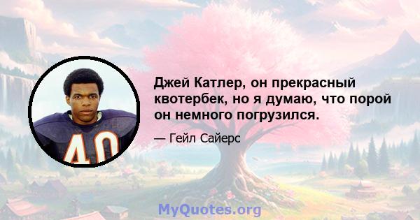 Джей Катлер, он прекрасный квотербек, но я думаю, что порой он немного погрузился.