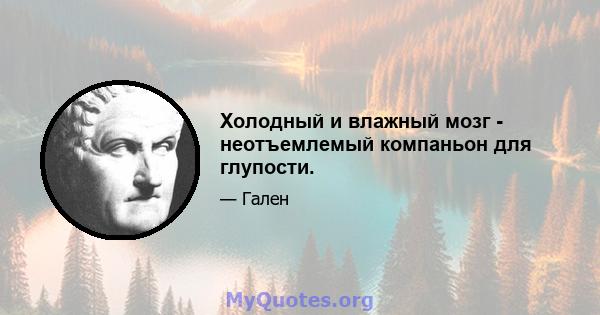 Холодный и влажный мозг - неотъемлемый компаньон для глупости.