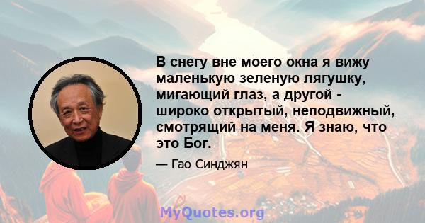 В снегу вне моего окна я вижу маленькую зеленую лягушку, мигающий глаз, а другой - широко открытый, неподвижный, смотрящий на меня. Я знаю, что это Бог.