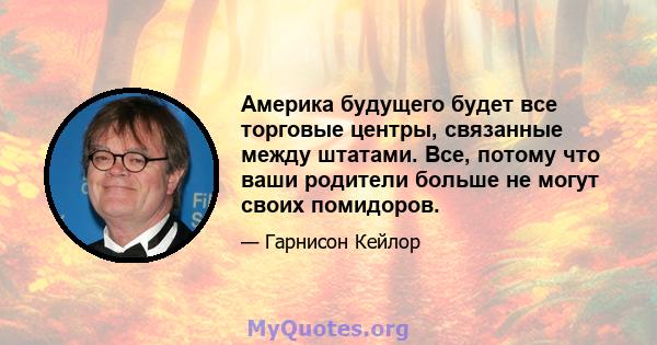 Америка будущего будет все торговые центры, связанные между штатами. Все, потому что ваши родители больше не могут своих помидоров.