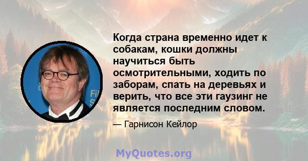 Когда страна временно идет к собакам, кошки должны научиться быть осмотрительными, ходить по заборам, спать на деревьях и верить, что все эти гаузинг не является последним словом.