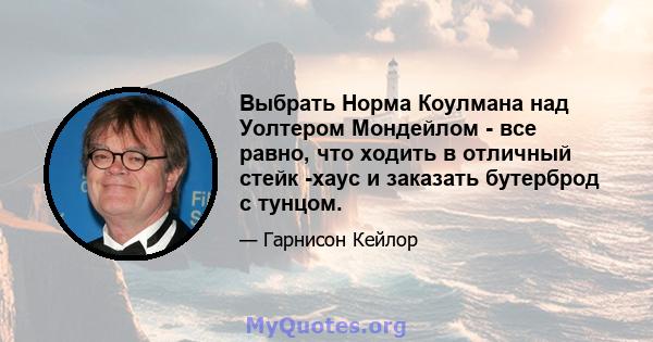 Выбрать Норма Коулмана над Уолтером Мондейлом - все равно, что ходить в отличный стейк -хаус и заказать бутерброд с тунцом.