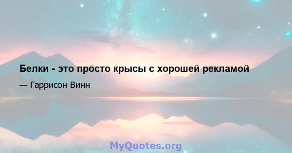 Белки - это просто крысы с хорошей рекламой