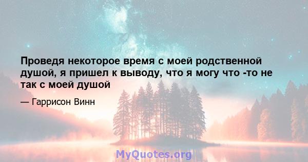 Проведя некоторое время с моей родственной душой, я пришел к выводу, что я могу что -то не так с моей душой