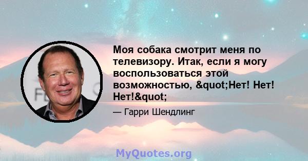 Моя собака смотрит меня по телевизору. Итак, если я могу воспользоваться этой возможностью, "Нет! Нет! Нет!"