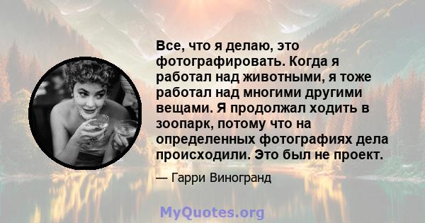 Все, что я делаю, это фотографировать. Когда я работал над животными, я тоже работал над многими другими вещами. Я продолжал ходить в зоопарк, потому что на определенных фотографиях дела происходили. Это был не проект.