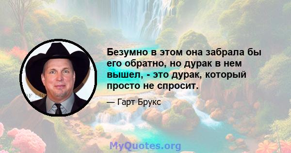 Безумно в этом она забрала бы его обратно, но дурак в нем вышел, - это дурак, который просто не спросит.