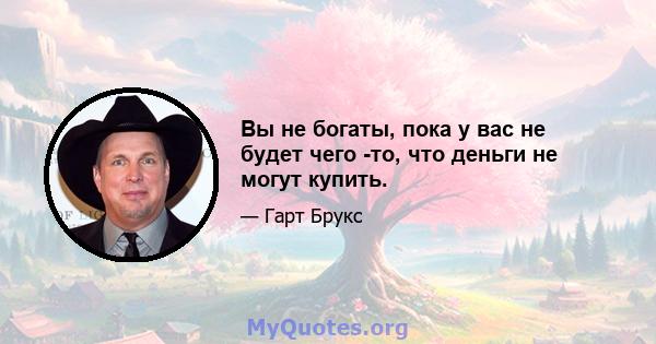 Вы не богаты, пока у вас не будет чего -то, что деньги не могут купить.