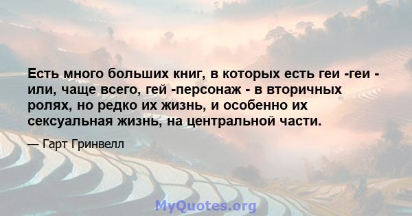 Есть много больших книг, в которых есть геи -геи - или, чаще всего, гей -персонаж - в вторичных ролях, но редко их жизнь, и особенно их сексуальная жизнь, на центральной части.