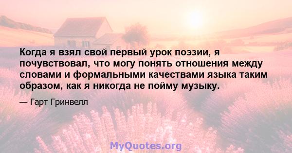 Когда я взял свой первый урок поэзии, я почувствовал, что могу понять отношения между словами и формальными качествами языка таким образом, как я никогда не пойму музыку.