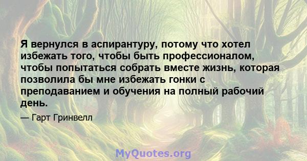 Я вернулся в аспирантуру, потому что хотел избежать того, чтобы быть профессионалом, чтобы попытаться собрать вместе жизнь, которая позволила бы мне избежать гонки с преподаванием и обучения на полный рабочий день.