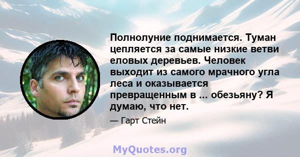 Полнолуние поднимается. Туман цепляется за самые низкие ветви еловых деревьев. Человек выходит из самого мрачного угла леса и оказывается превращенным в ... обезьяну? Я думаю, что нет.