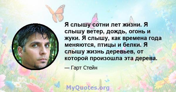 Я слышу сотни лет жизни. Я слышу ветер, дождь, огонь и жуки. Я слышу, как времена года меняются, птицы и белки. Я слышу жизнь деревьев, от которой произошла эта дерева.