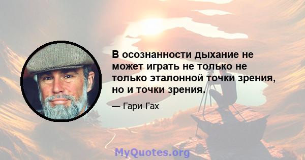 В осознанности дыхание не может играть не только не только эталонной точки зрения, но и точки зрения.