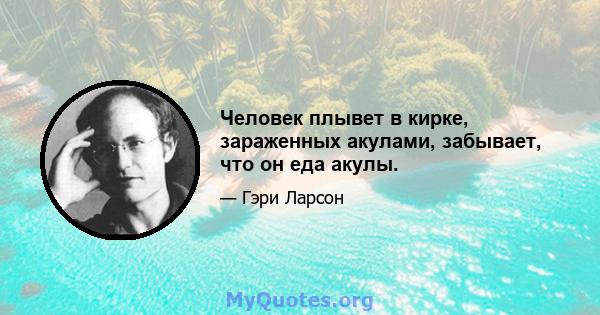 Человек плывет в кирке, зараженных акулами, забывает, что он еда акулы.