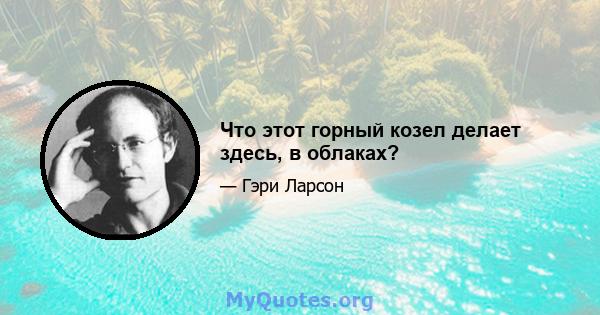 Что этот горный козел делает здесь, в облаках?