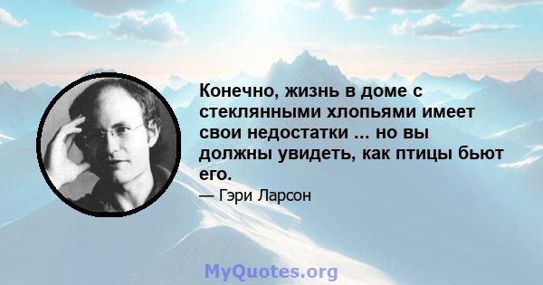 Конечно, жизнь в доме с стеклянными хлопьями имеет свои недостатки ... но вы должны увидеть, как птицы бьют его.