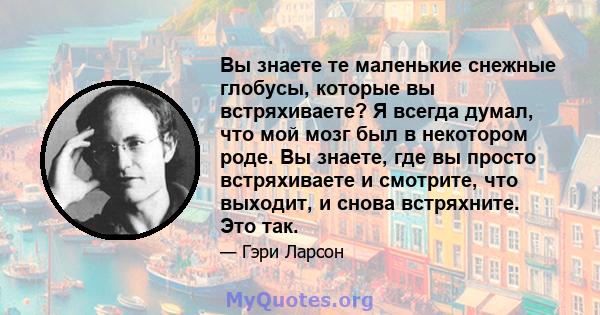 Вы знаете те маленькие снежные глобусы, которые вы встряхиваете? Я всегда думал, что мой мозг был в некотором роде. Вы знаете, где вы просто встряхиваете и смотрите, что выходит, и снова встряхните. Это так.