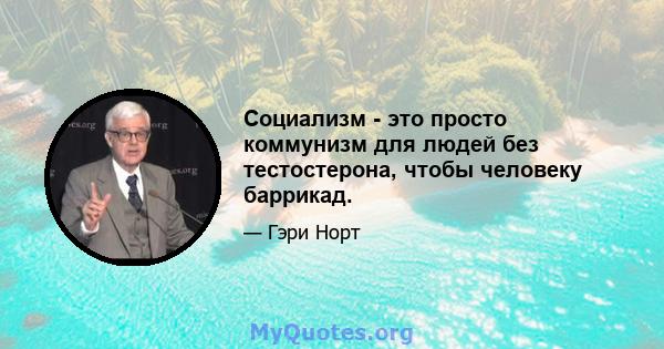 Социализм - это просто коммунизм для людей без тестостерона, чтобы человеку баррикад.