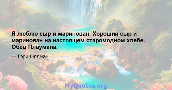 Я люблю сыр и маринован. Хороший сыр и маринован на настоящем старомодном хлебе. Обед Плаумана.