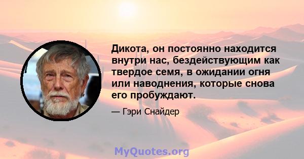 Дикота, он постоянно находится внутри нас, бездействующим как твердое семя, в ожидании огня или наводнения, которые снова его пробуждают.