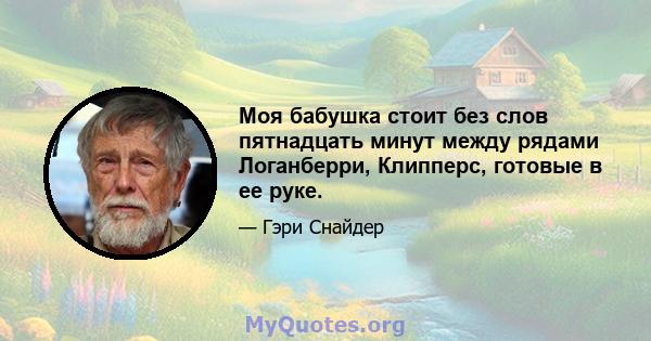 Моя бабушка стоит без слов пятнадцать минут между рядами Логанберри, Клипперс, готовые в ее руке.