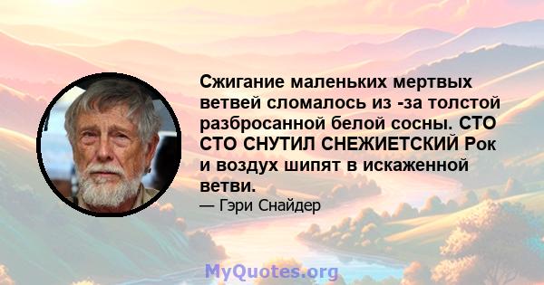 Сжигание маленьких мертвых ветвей сломалось из -за толстой разбросанной белой сосны. СТО СТО СНУТИЛ СНЕЖИЕТСКИЙ Рок и воздух шипят в искаженной ветви.