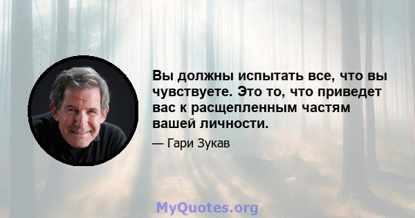 Вы должны испытать все, что вы чувствуете. Это то, что приведет вас к расщепленным частям вашей личности.